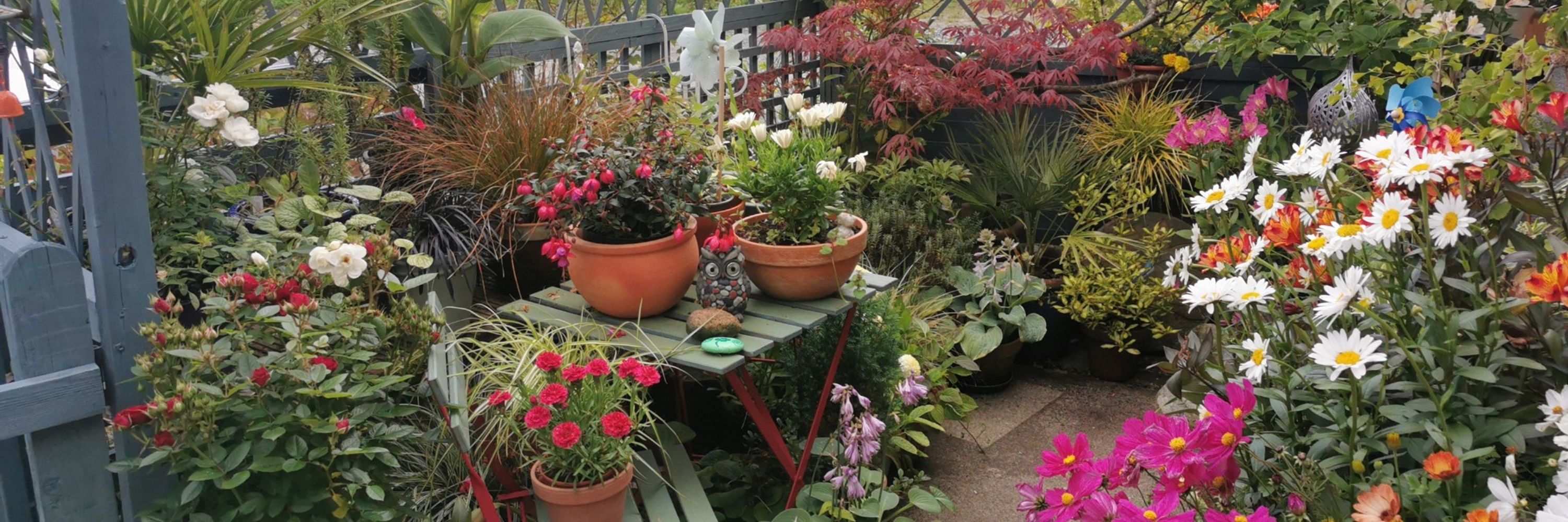 Horti Hugh