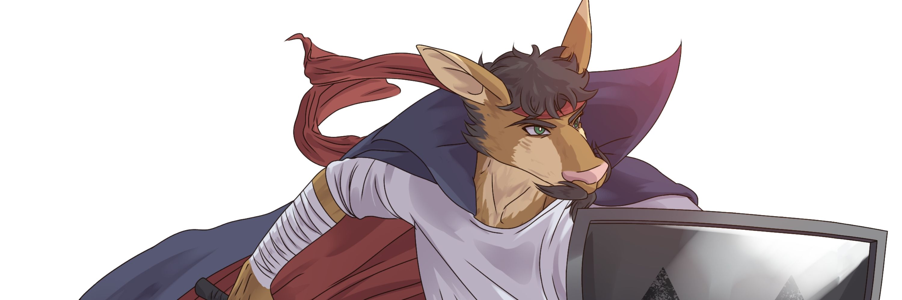 Shin Boris
