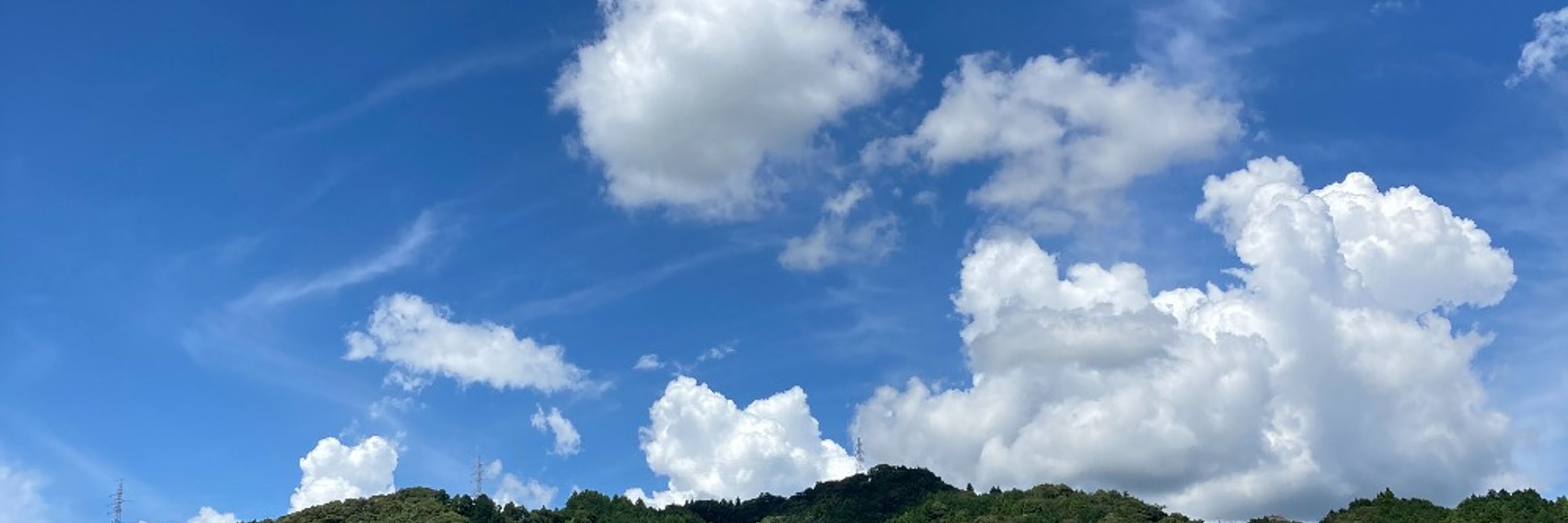 sakakibara