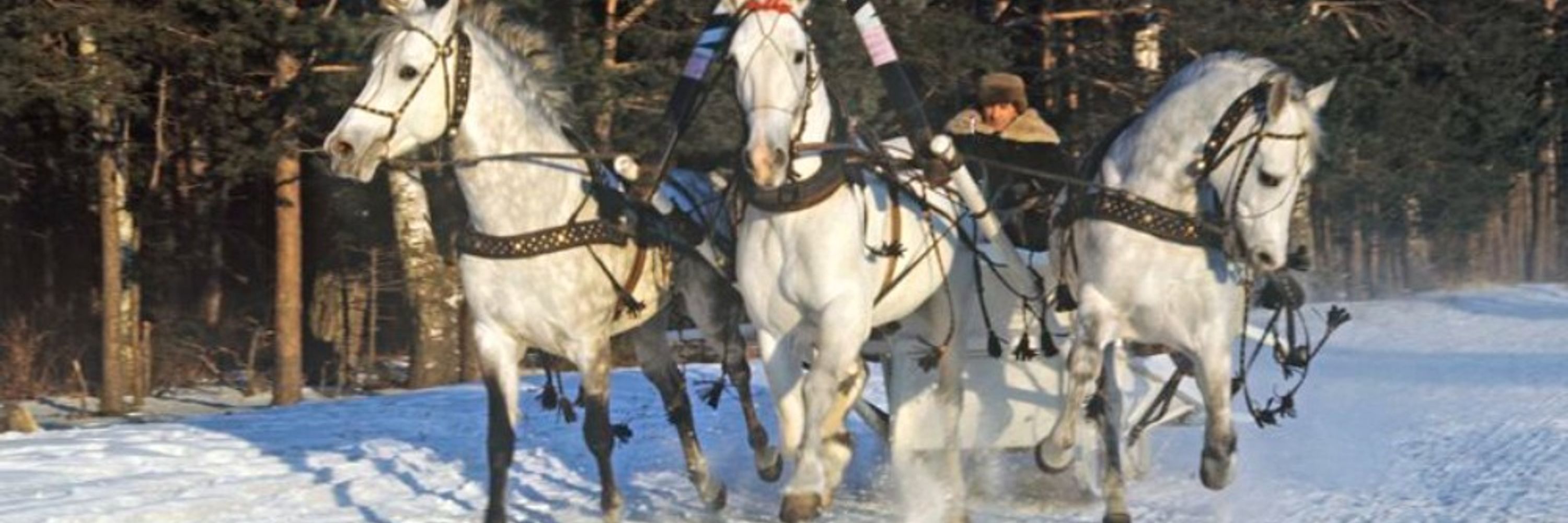 Ева Блейк