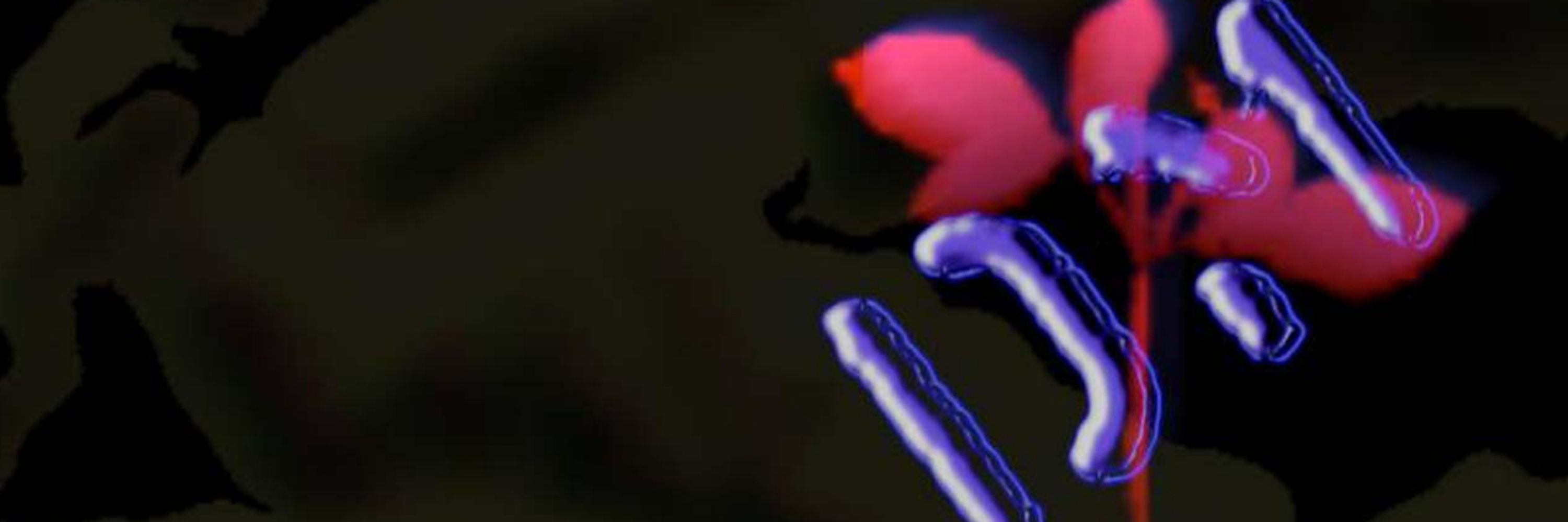 𝔾𝕚𝕒𝕟𝕃𝕦𝕜𝕒𝟞𝟞