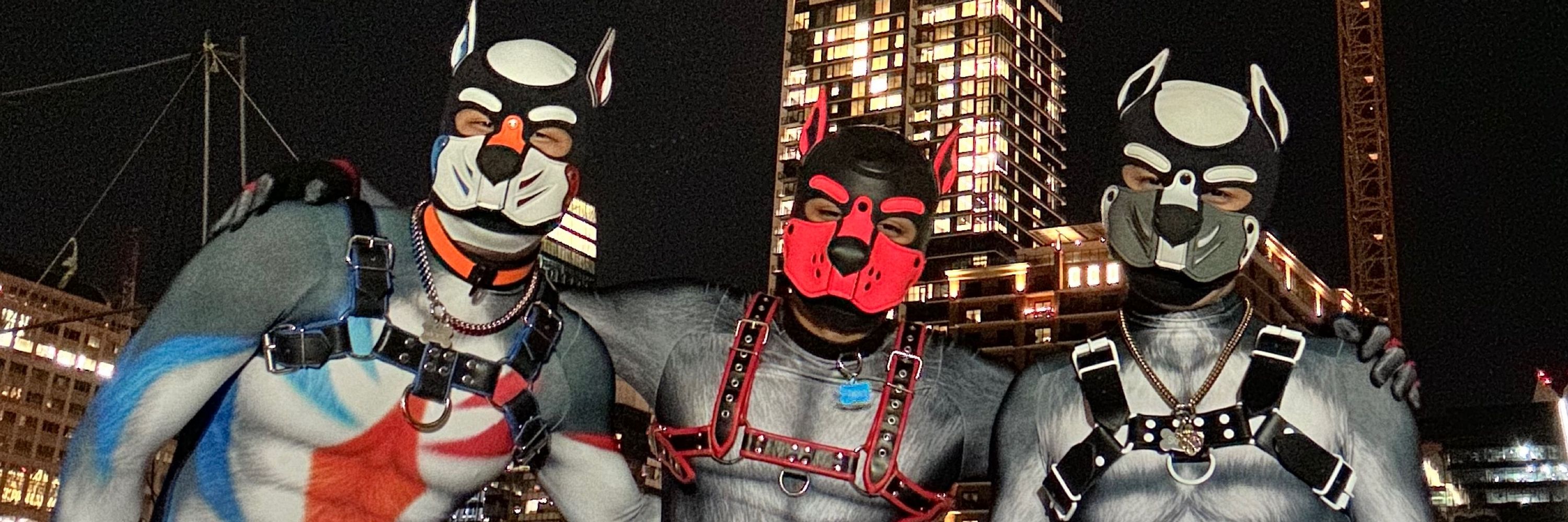 Pup Krookz