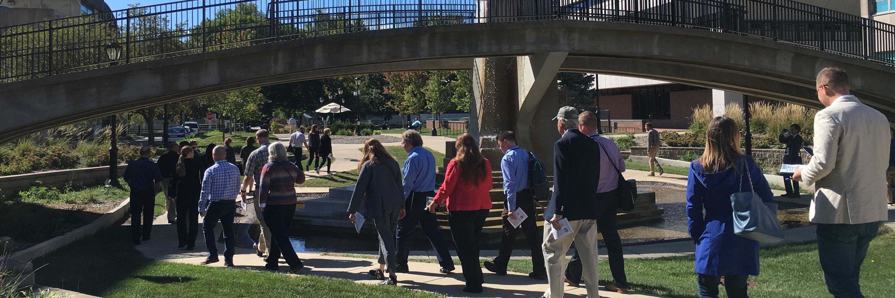 APA Illinois Chapter
