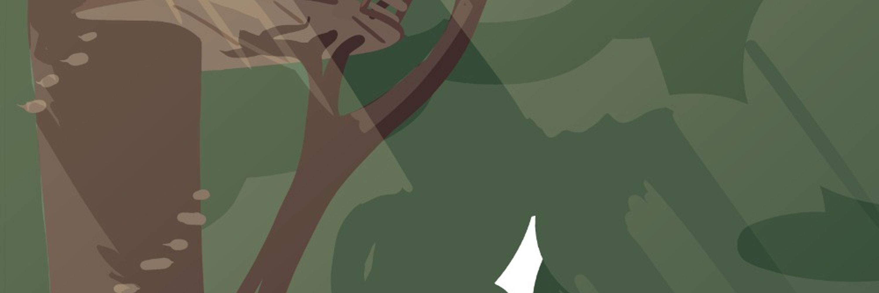 AntlerShed