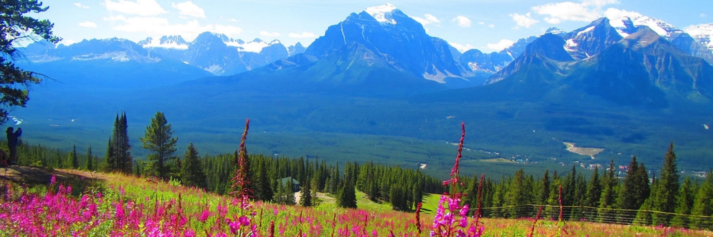 The Land of Alberta