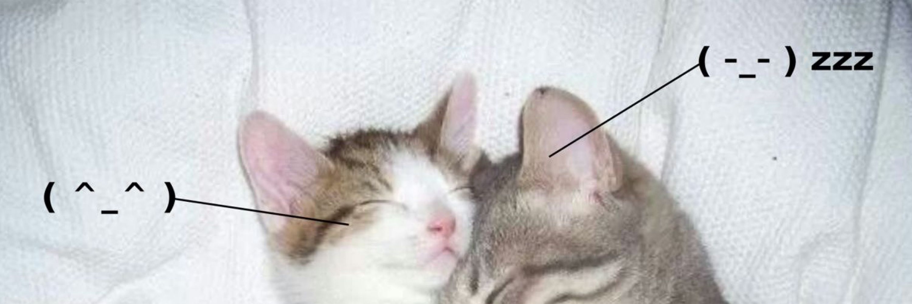 meow