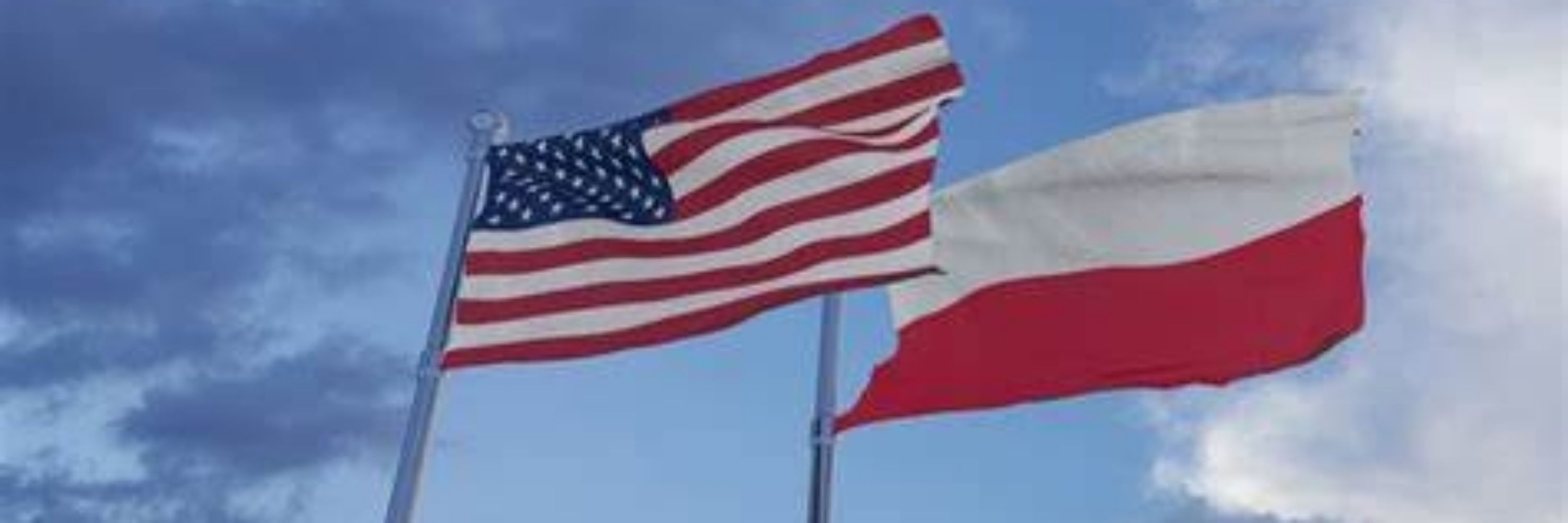 P_Odrowaz 🇺🇸🇵🇱