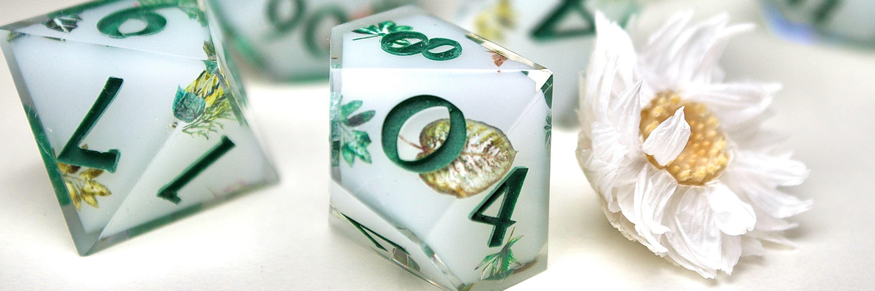 2C2Q🌿