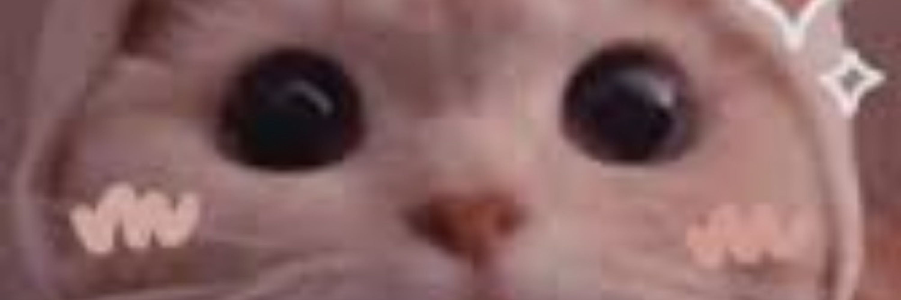 Awita_kit רשמי