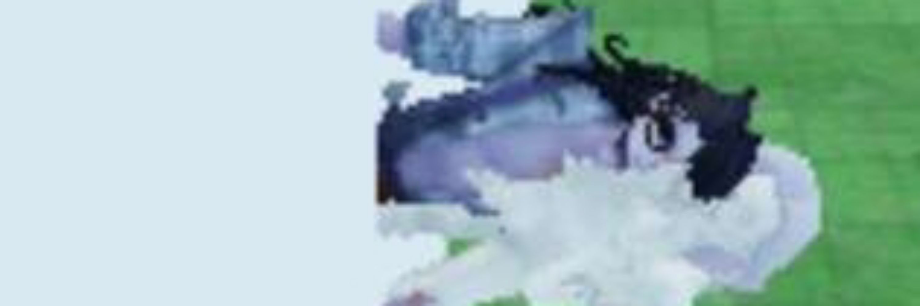 MushMushLMAO 
