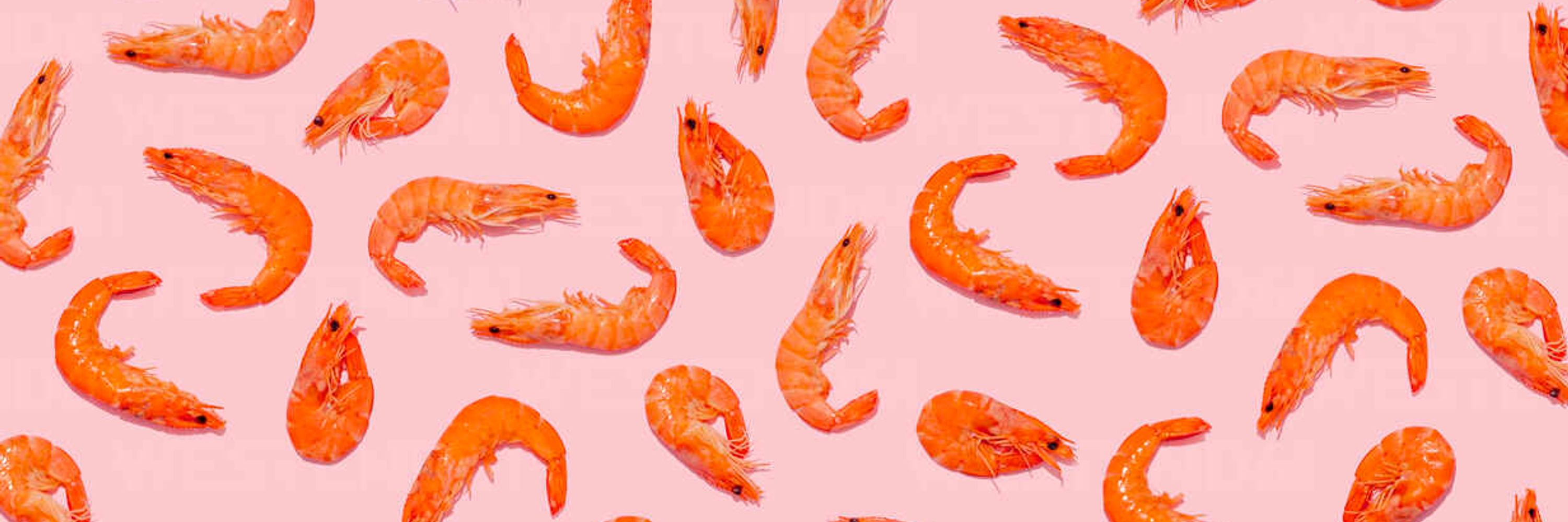 prawn shop