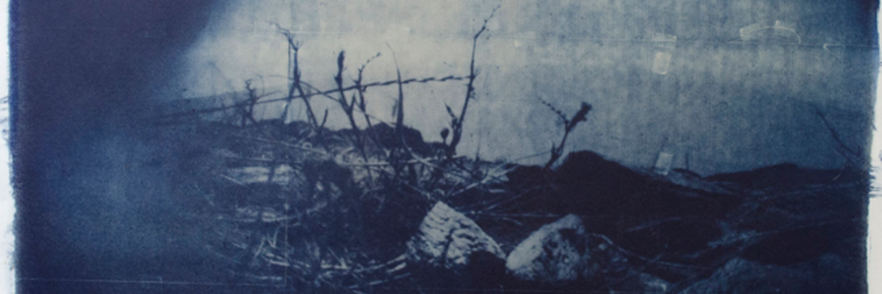 Michael McCarthy