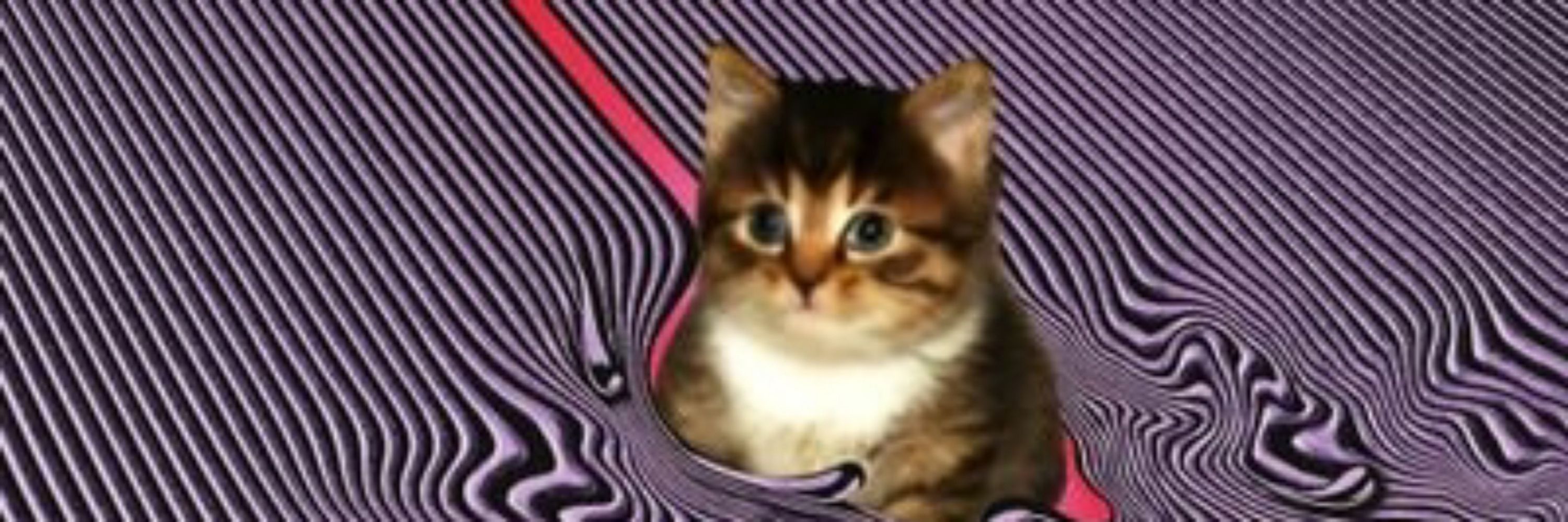 flakey2