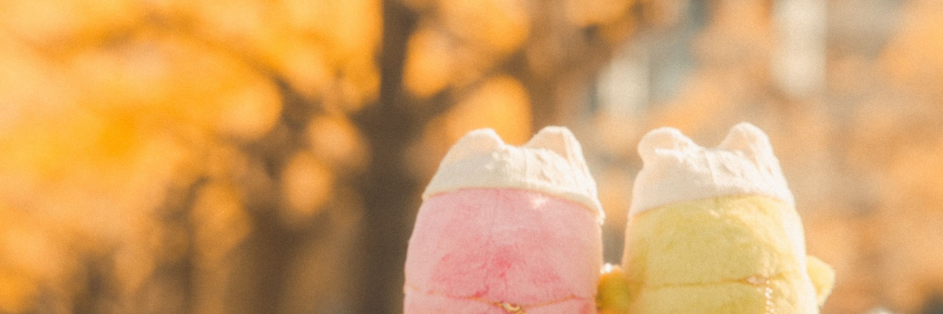 もちこ