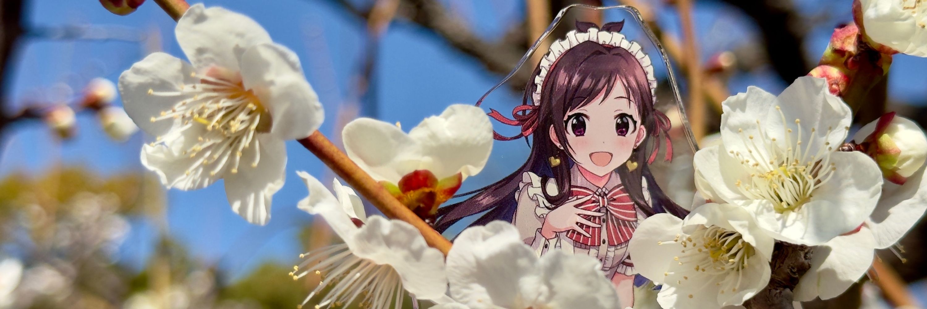 ゆき