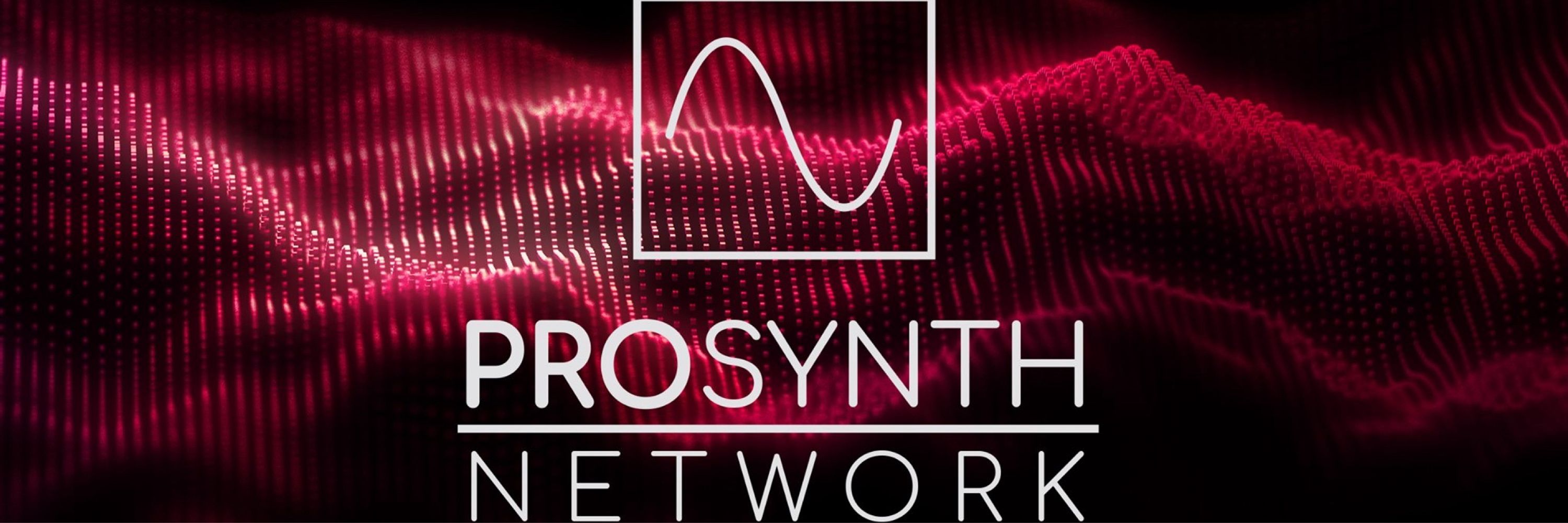 Pro Synth Network