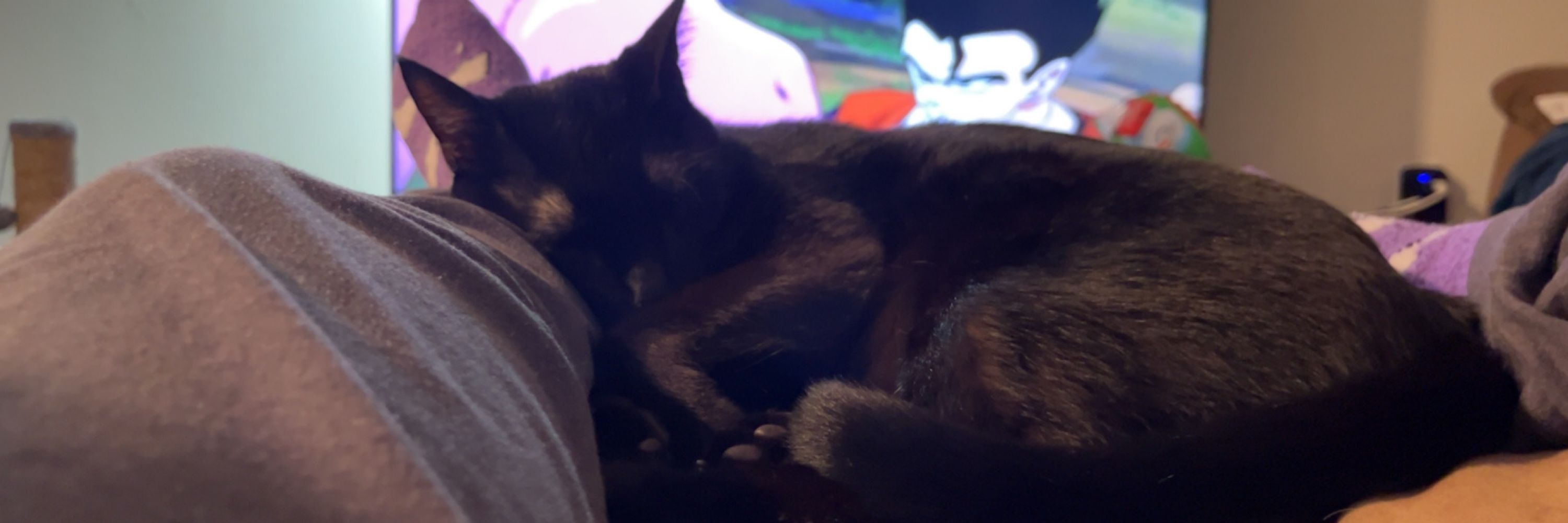 🧿 NYX 🧿