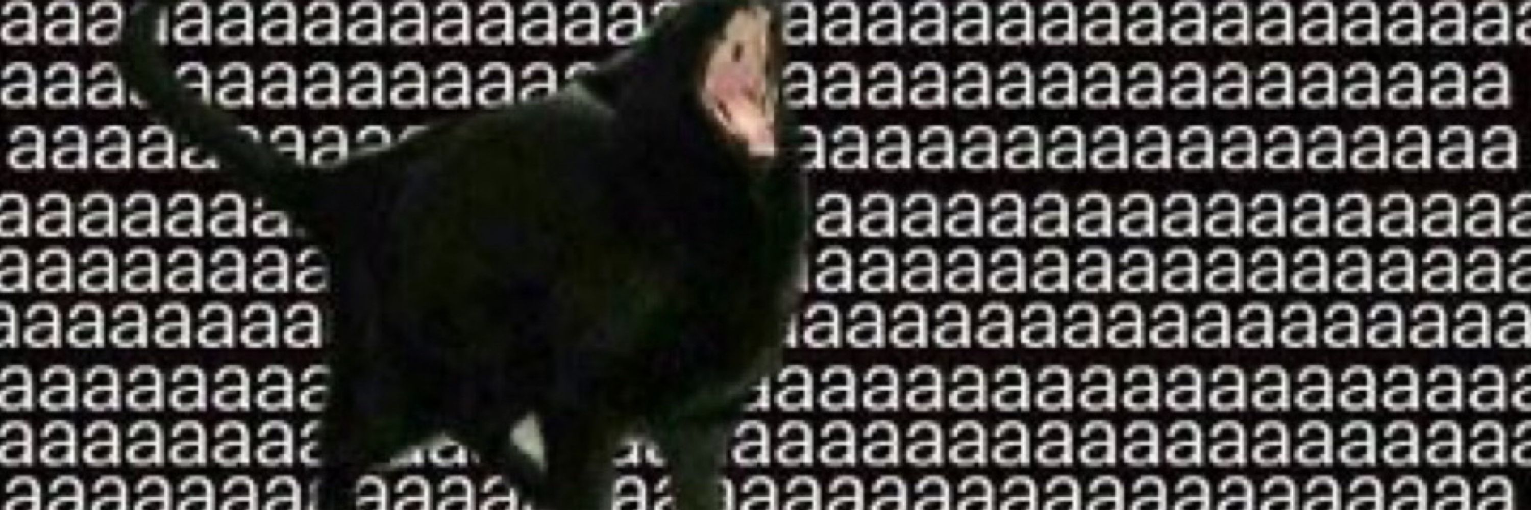 CarlTheThird