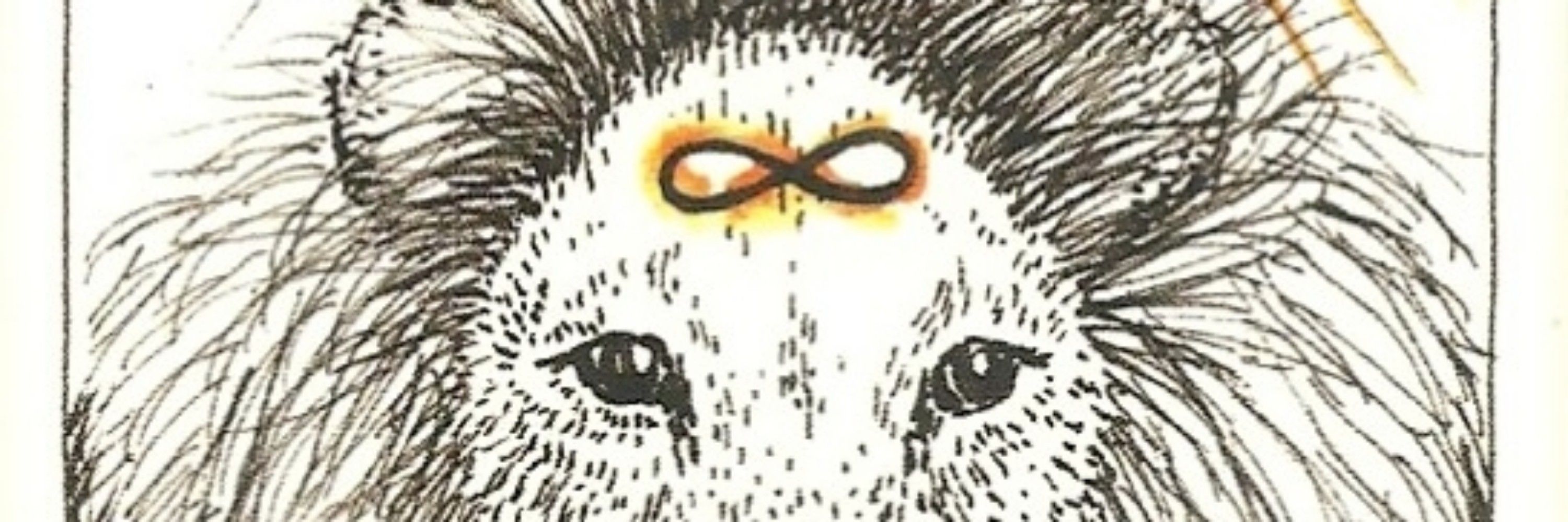 Furnicate (Orion)
