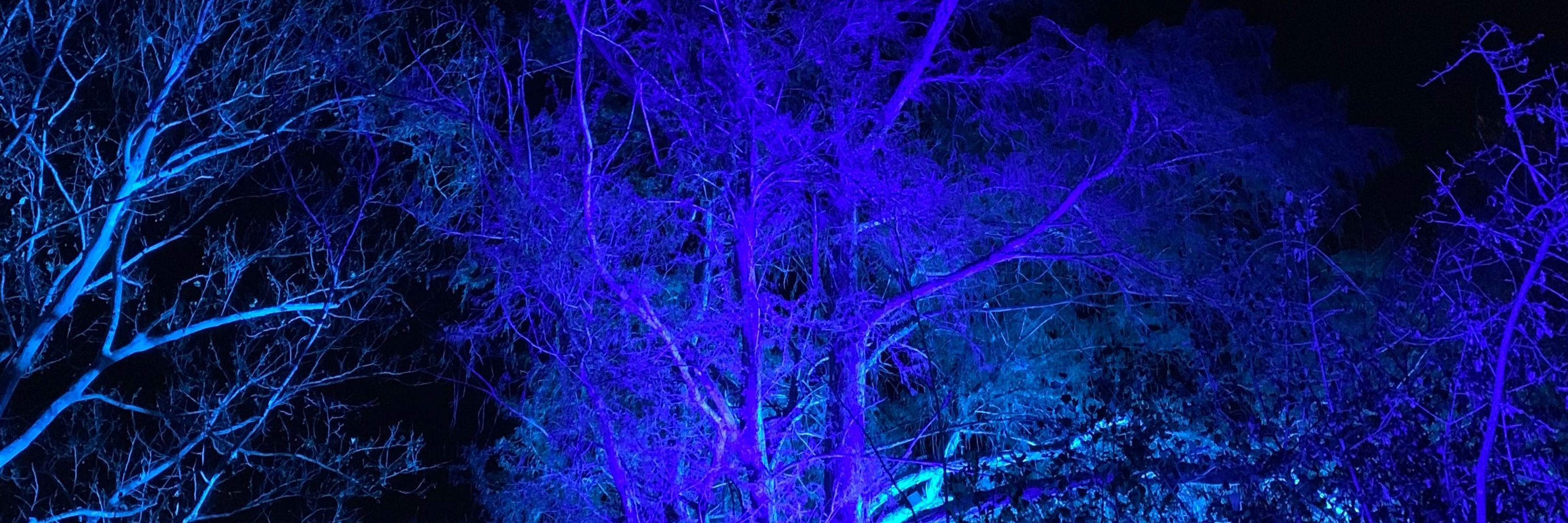 Moonlight Meditation
