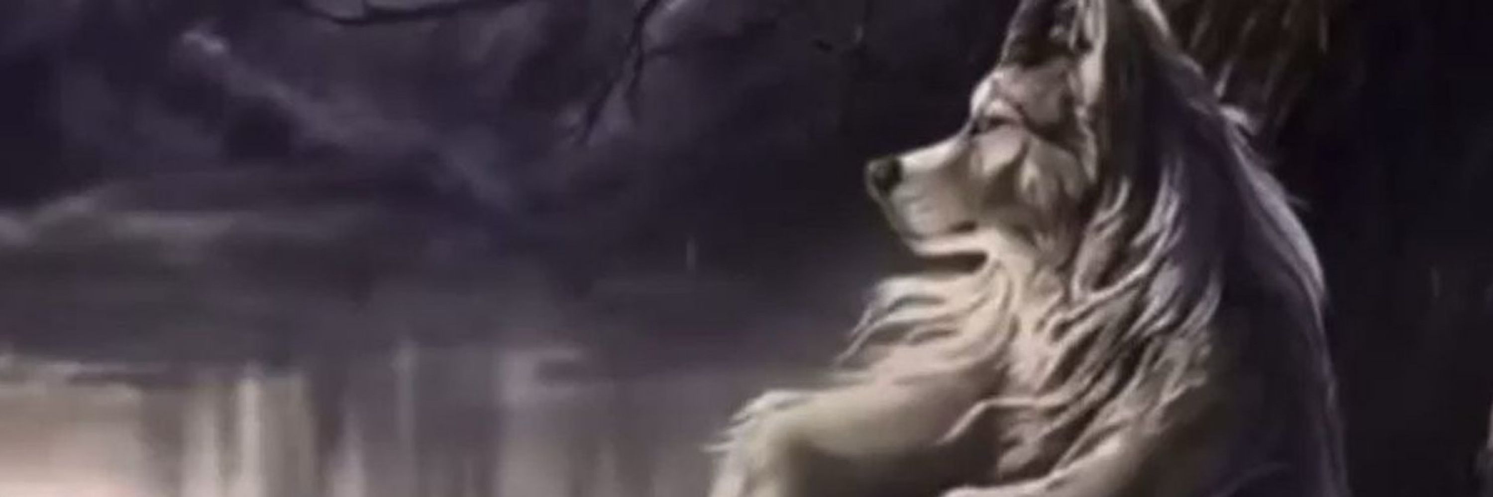  ☠︎︎