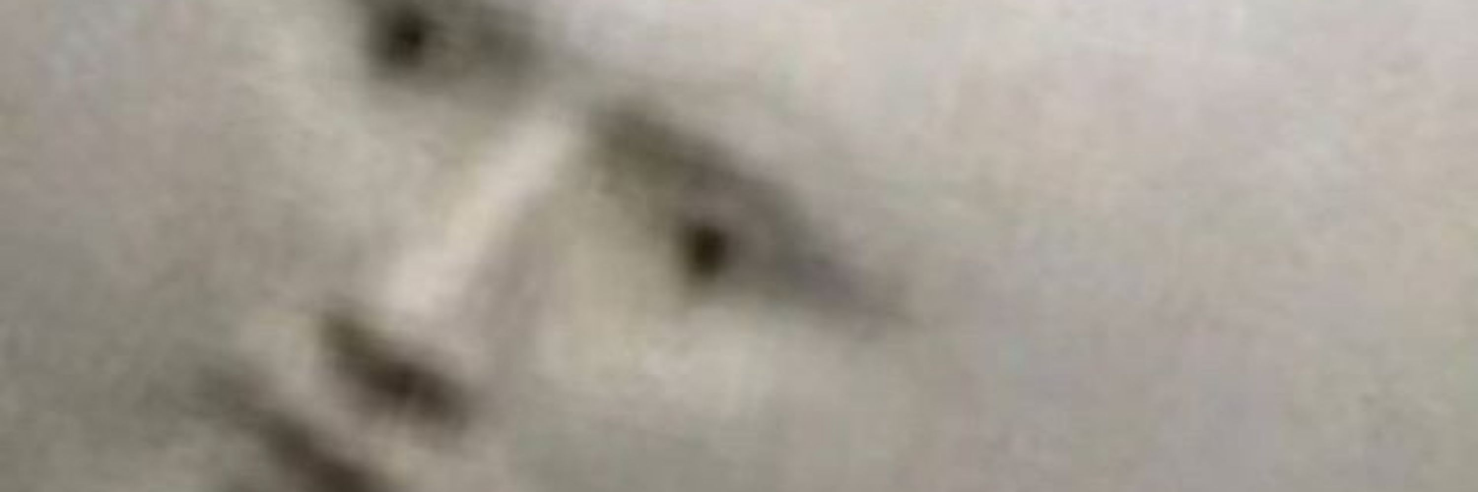 Luasaruma