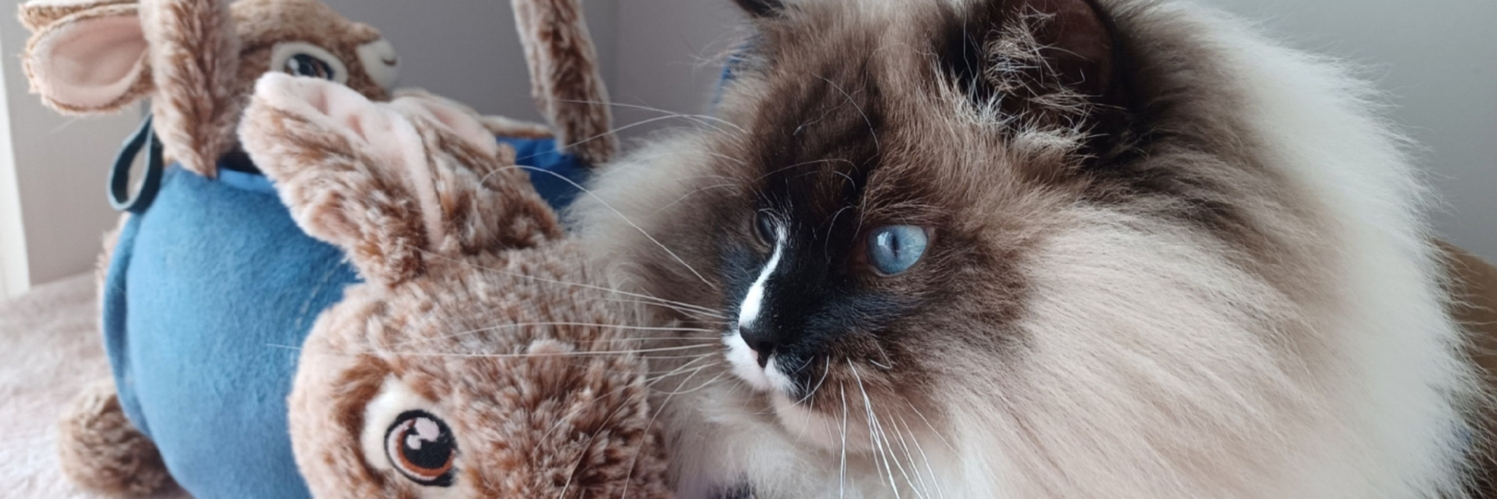 Grizzilla