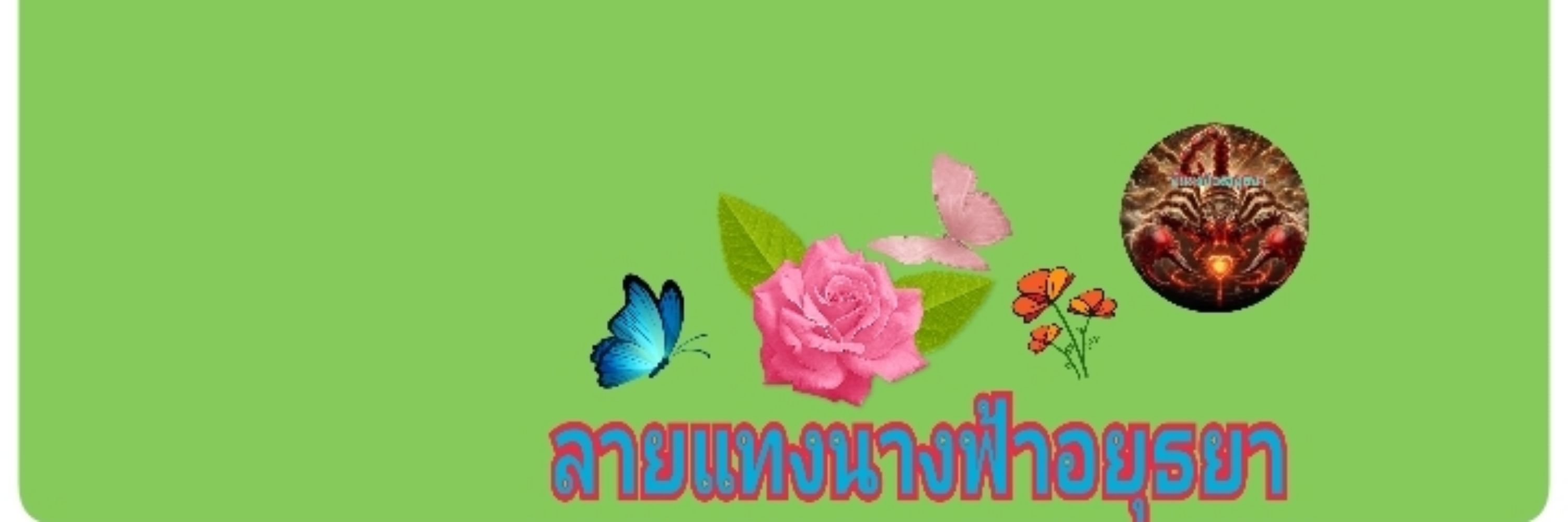 พี่แมงป่อง อยุธยา