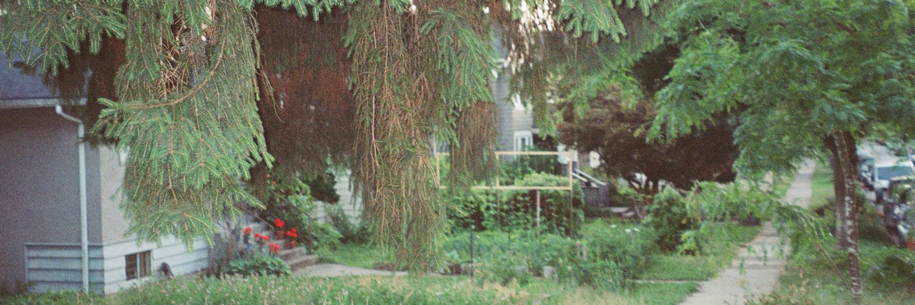 derek janzen