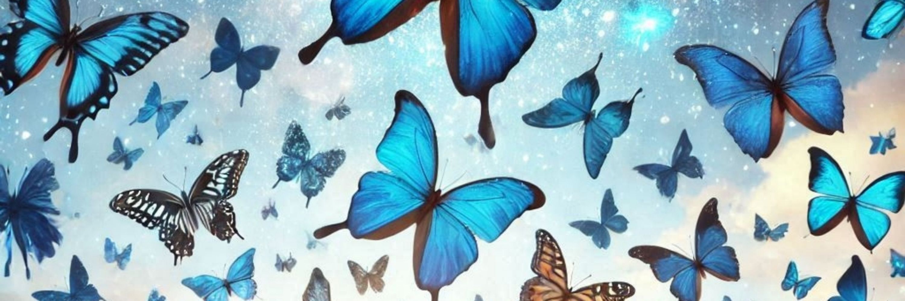 Erik S💙🦋 (Actual, NOT parody)