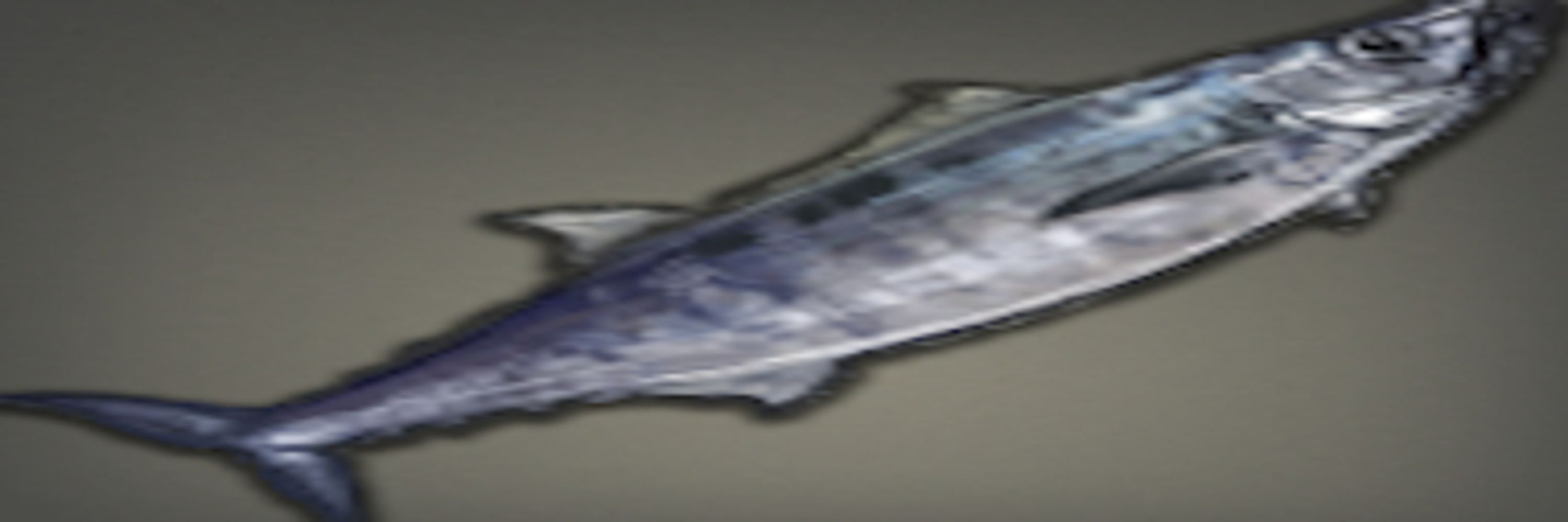 Lug