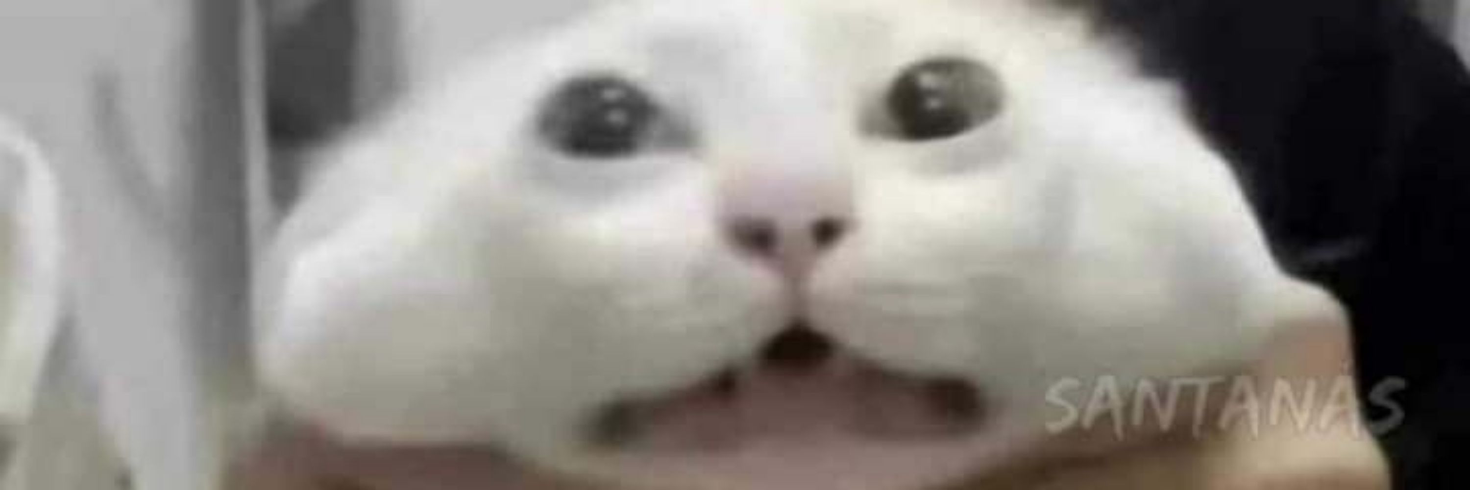 MAVI