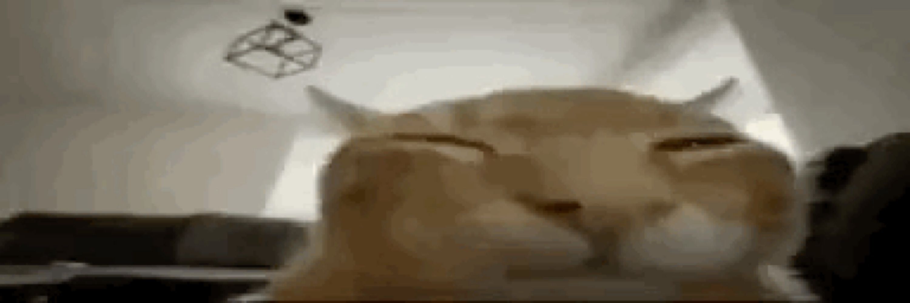 Boowomper