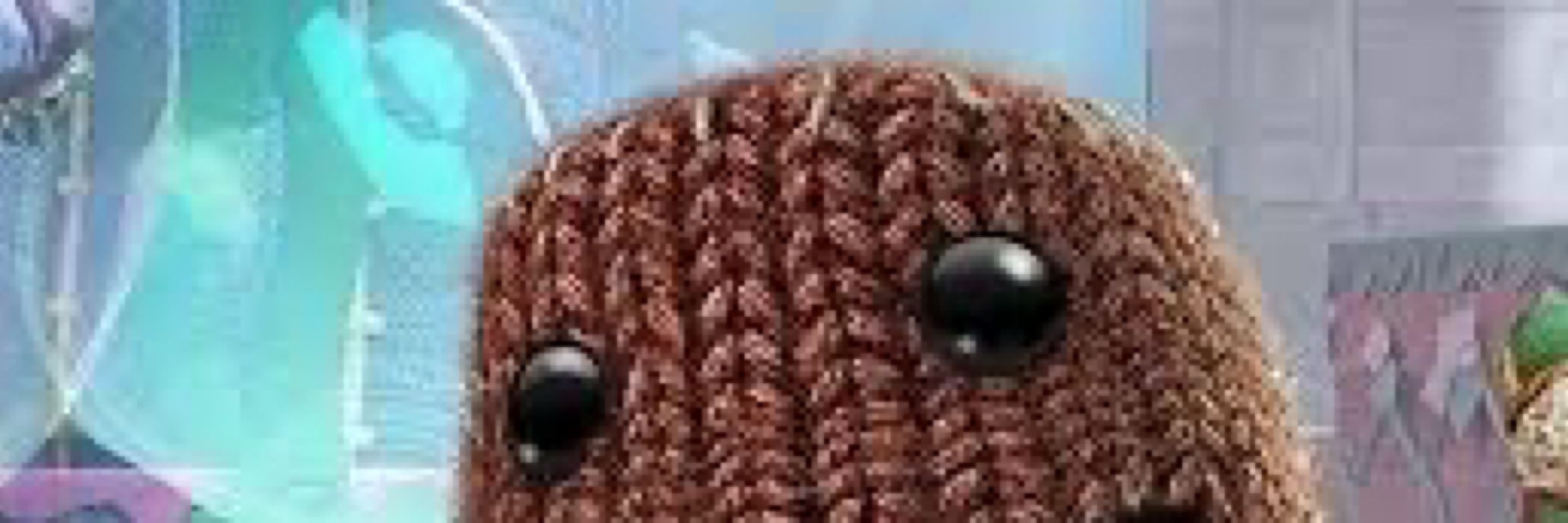 astradash