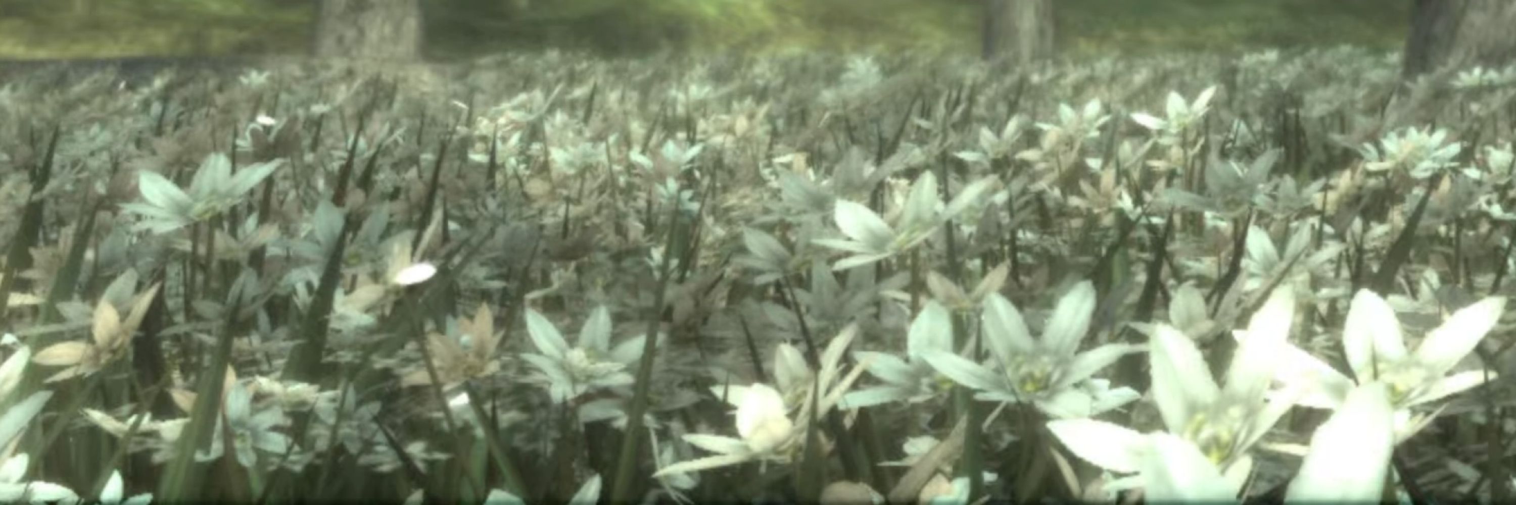 AAA