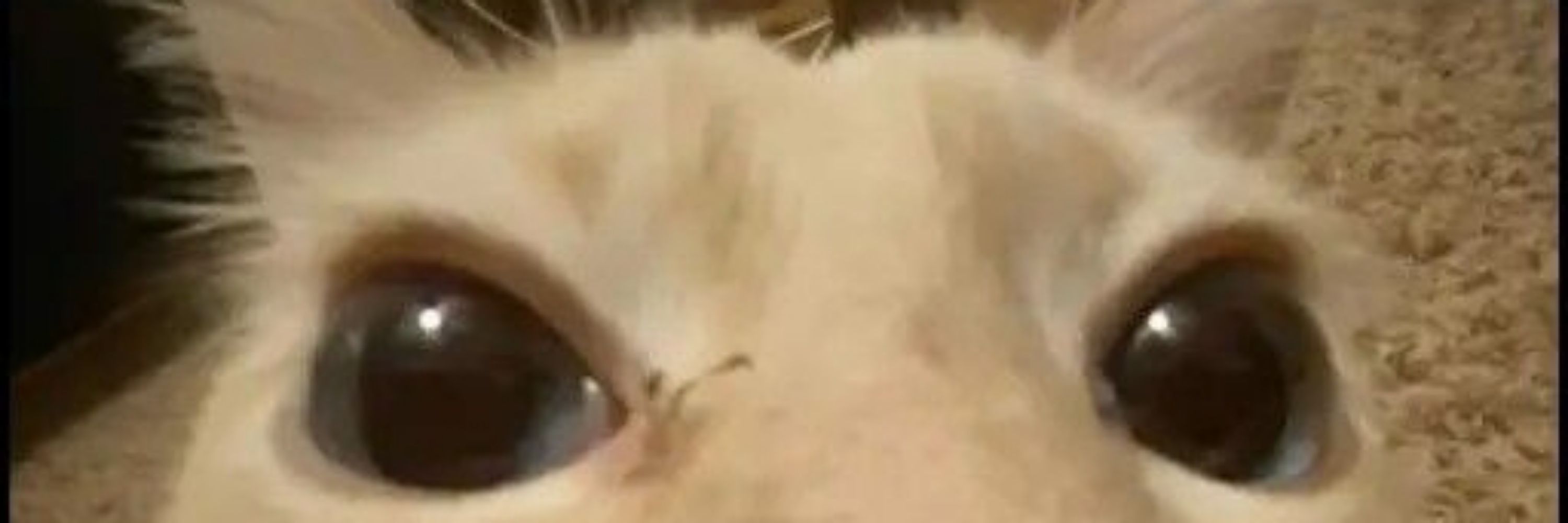 ☝🏻🤓