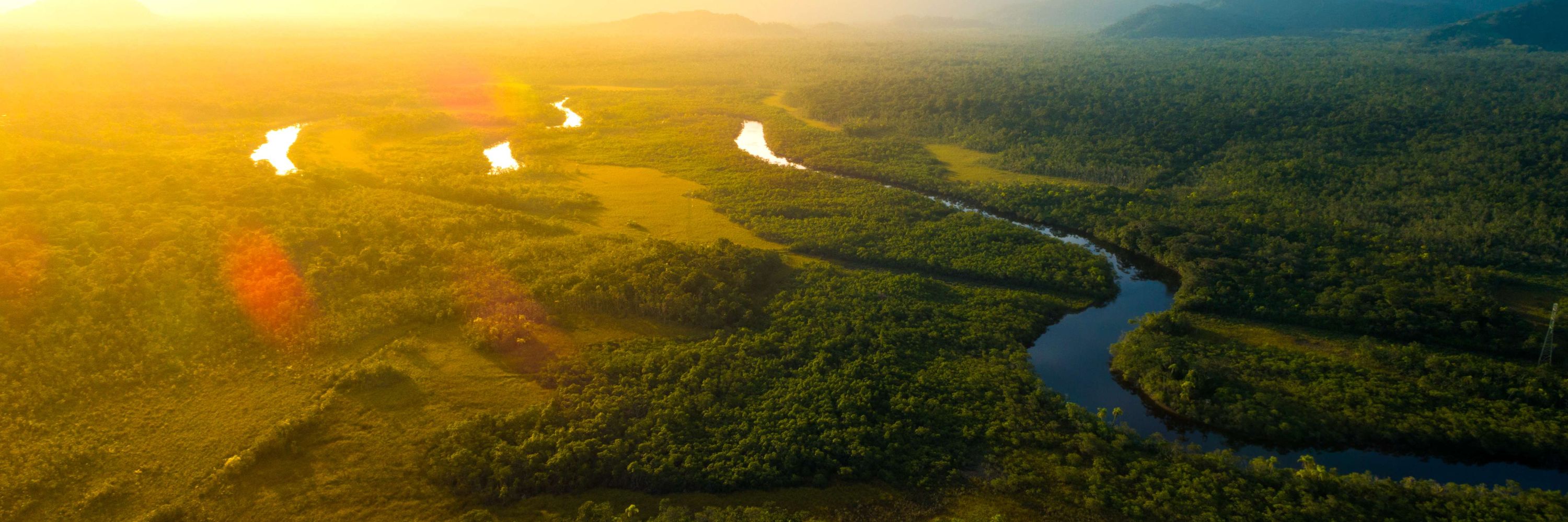 Conservation Strategy Fund