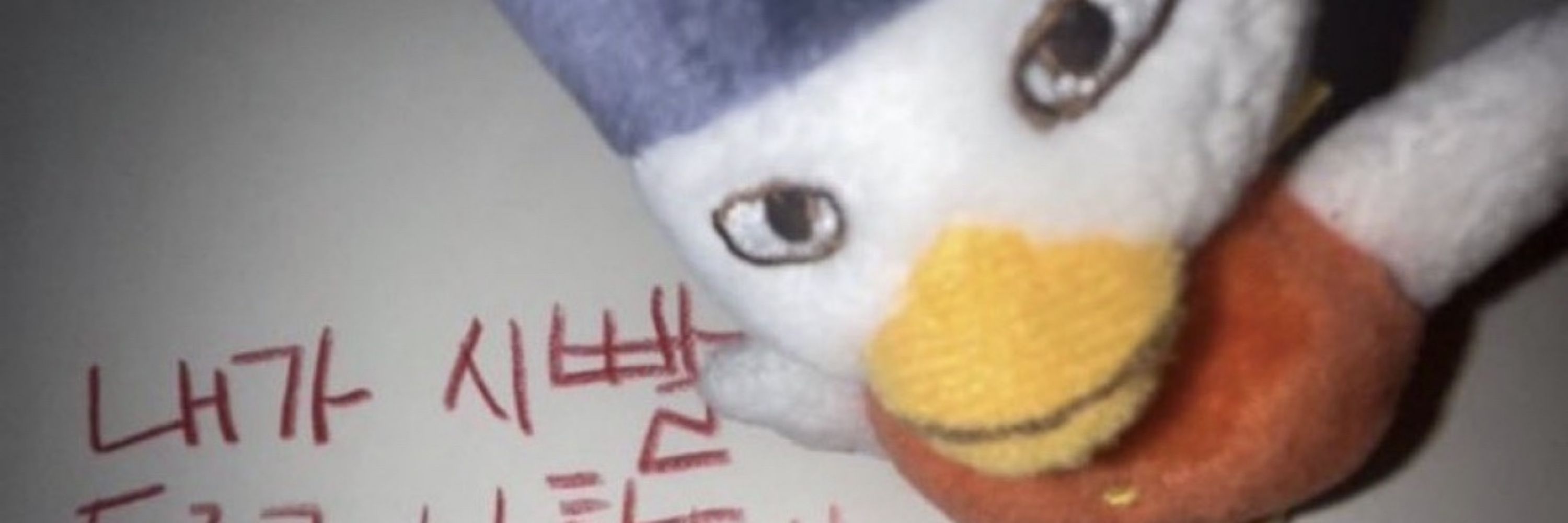 토마토엉덩이두짝