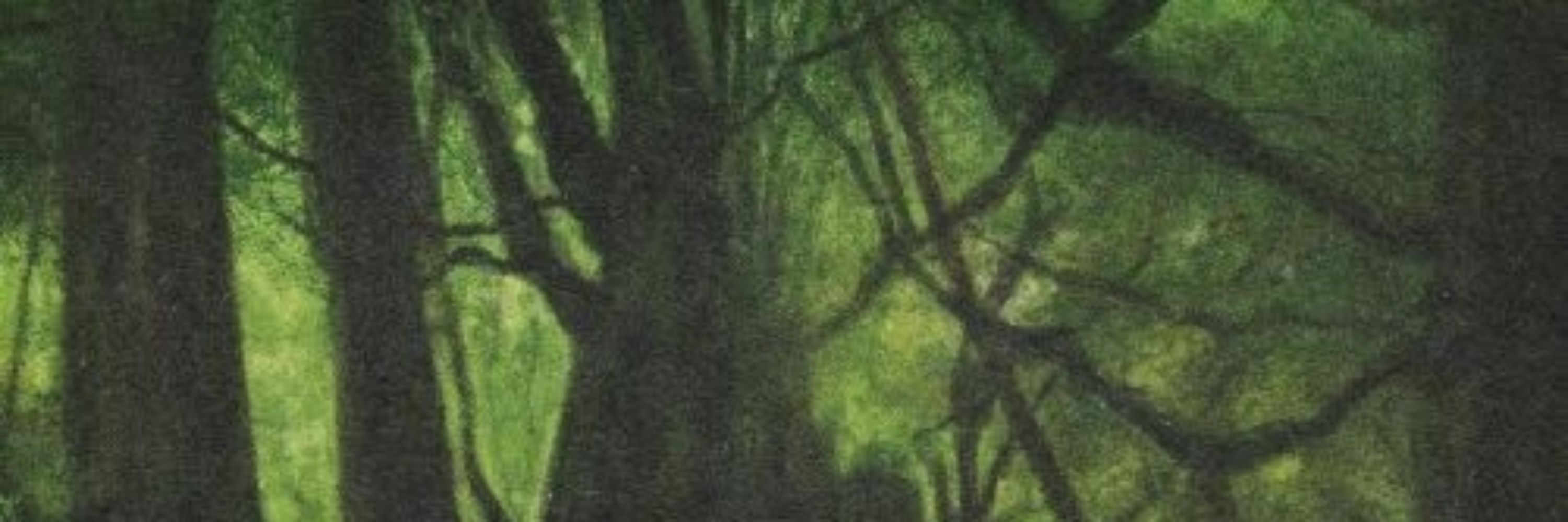 Nester's Nest