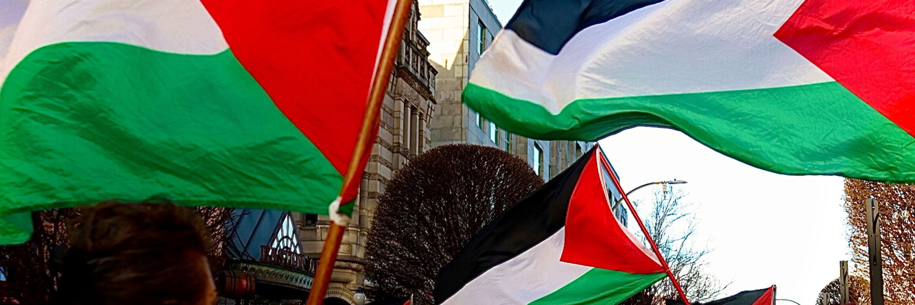 Keffiyeh Collective