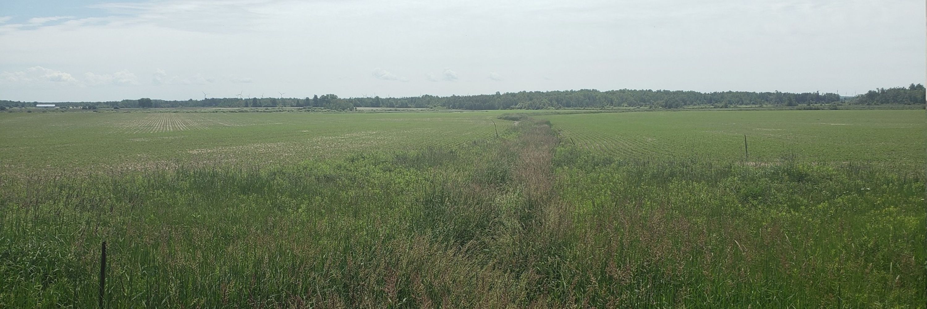 Protect The Tract