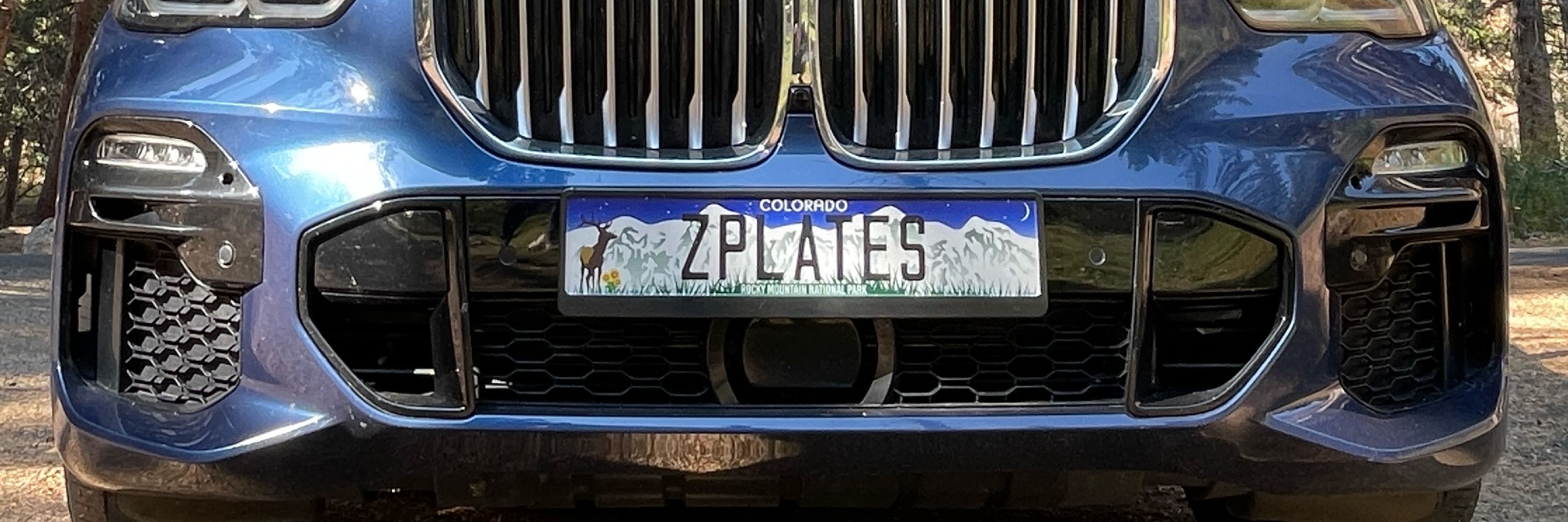 Z PLATES