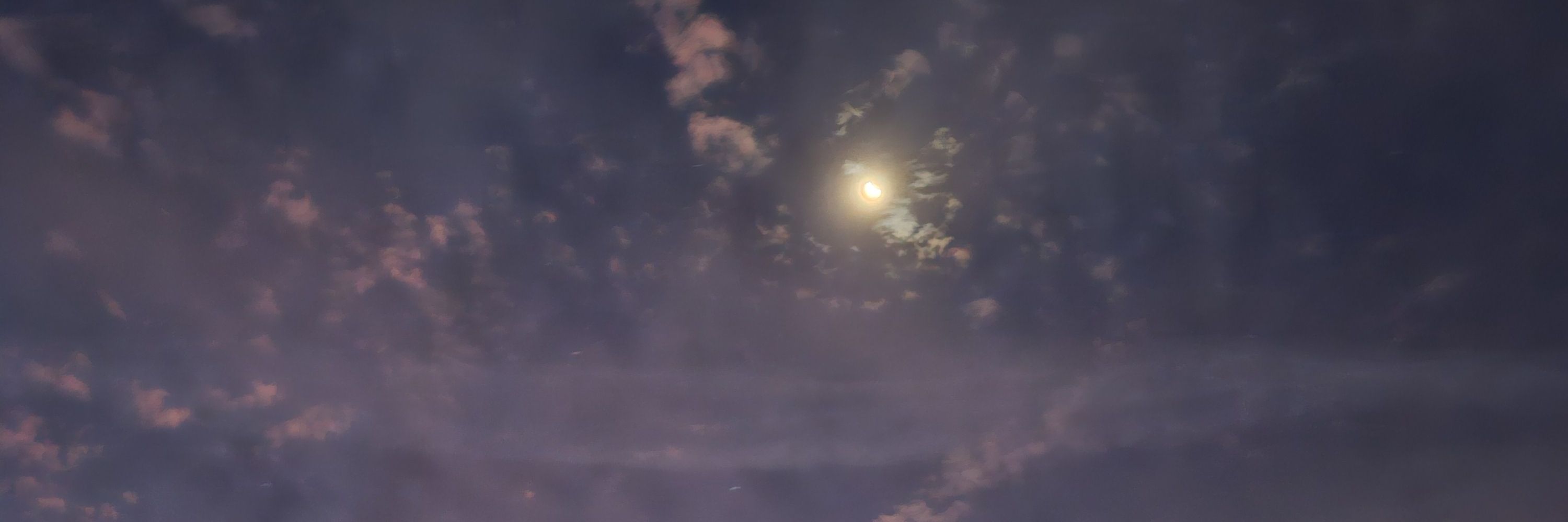 Moon《 they | them 》