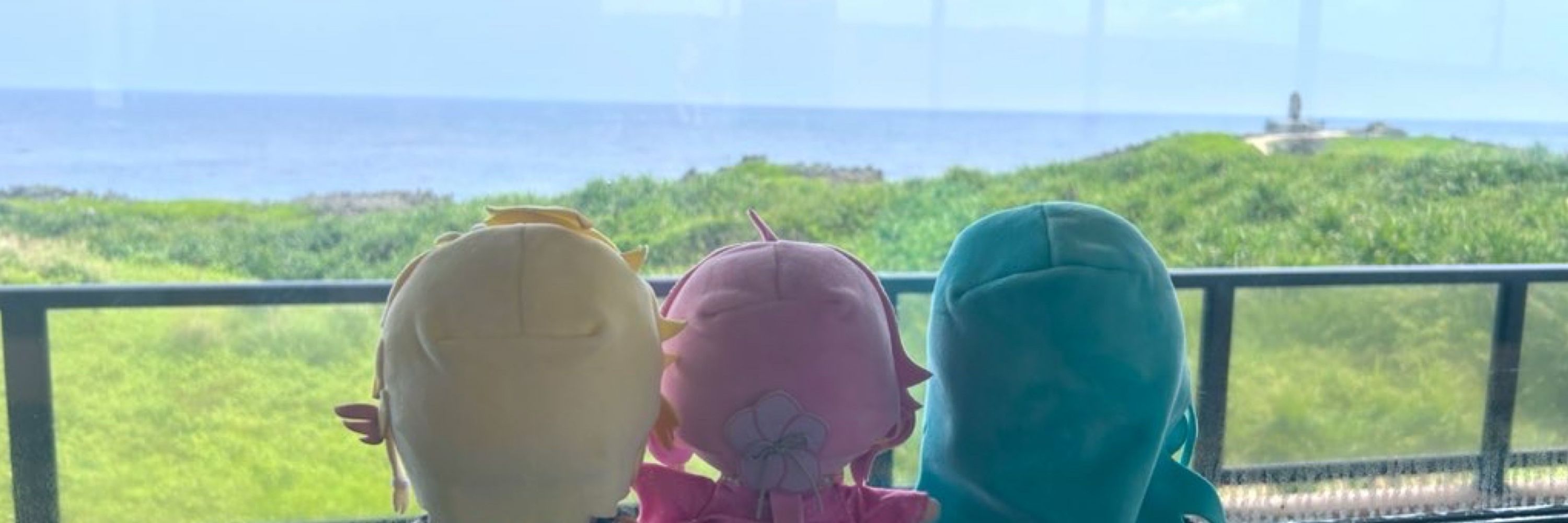 やまぶき🐚