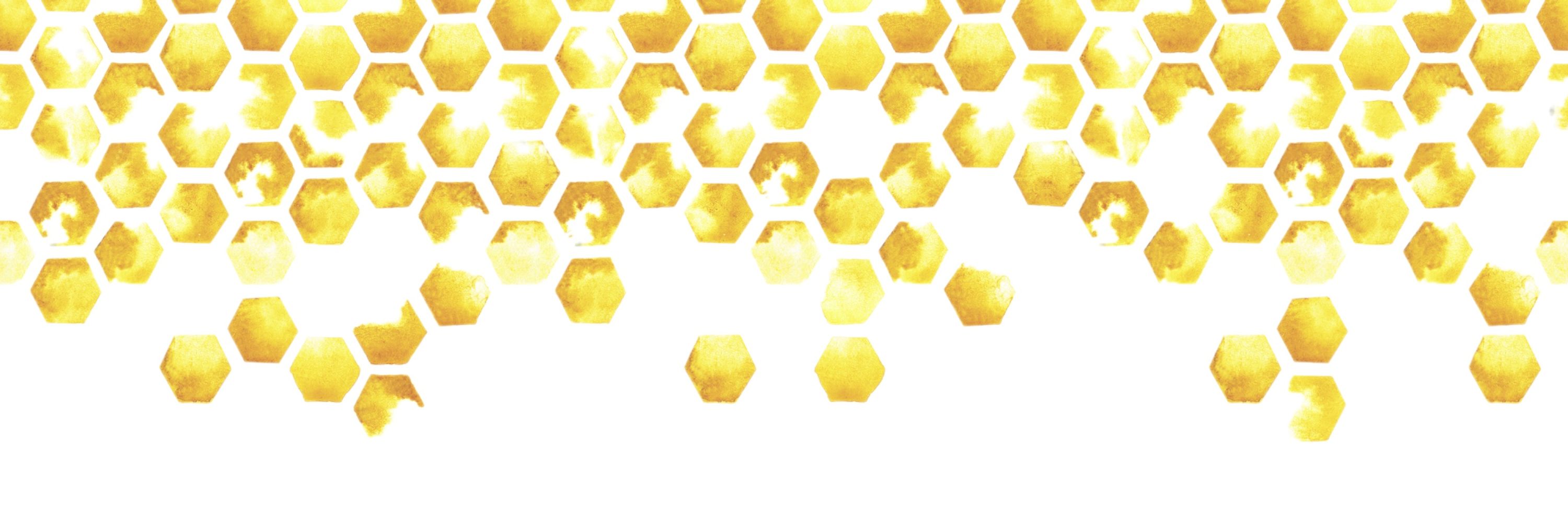 The Beekeeper’s Well