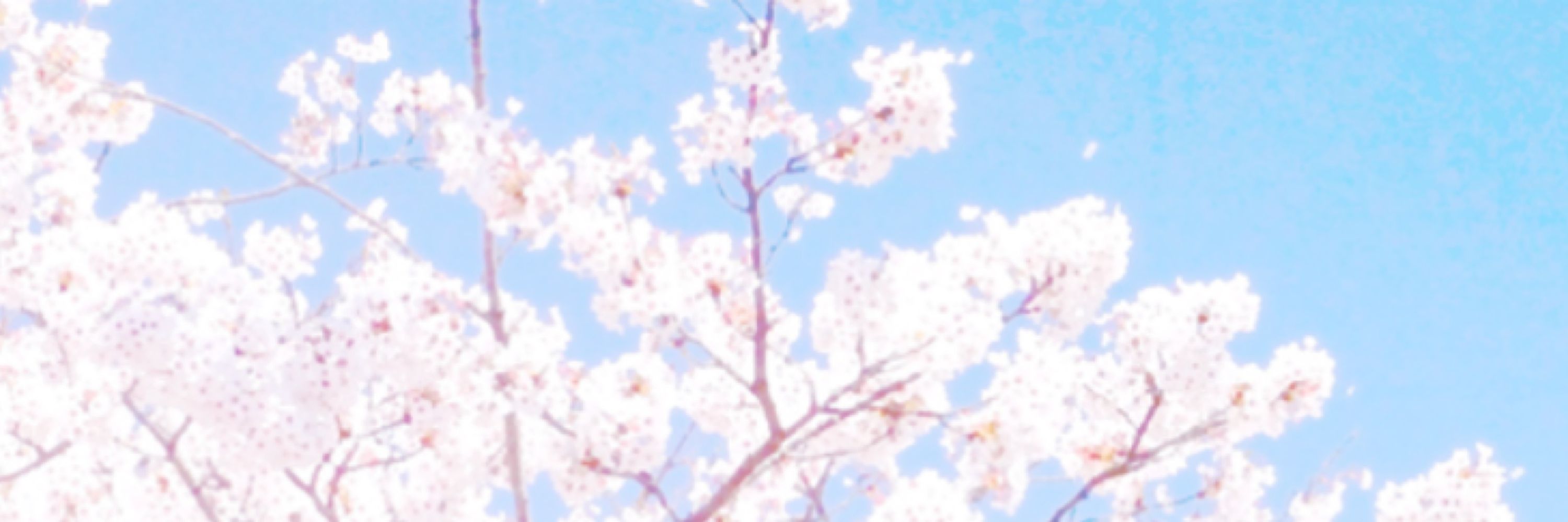 わっか🌸2A10