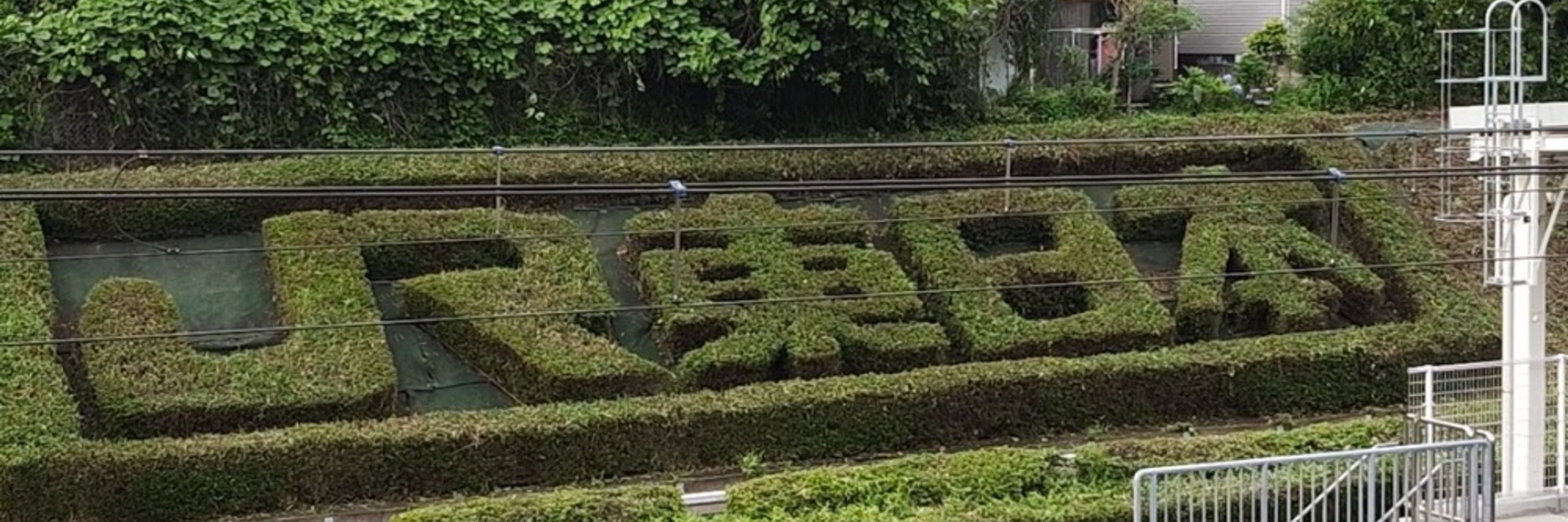 もぐ