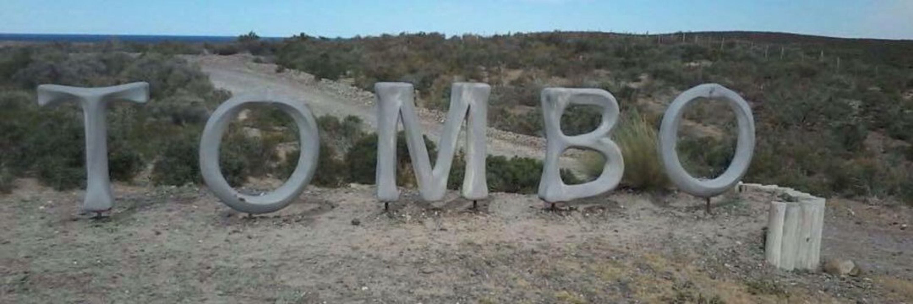 Luis Tombo