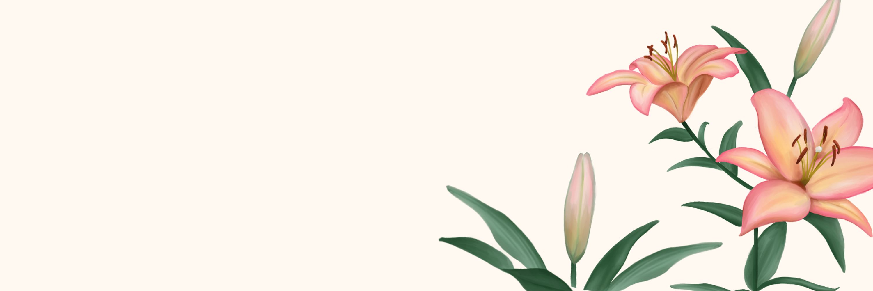Lily
