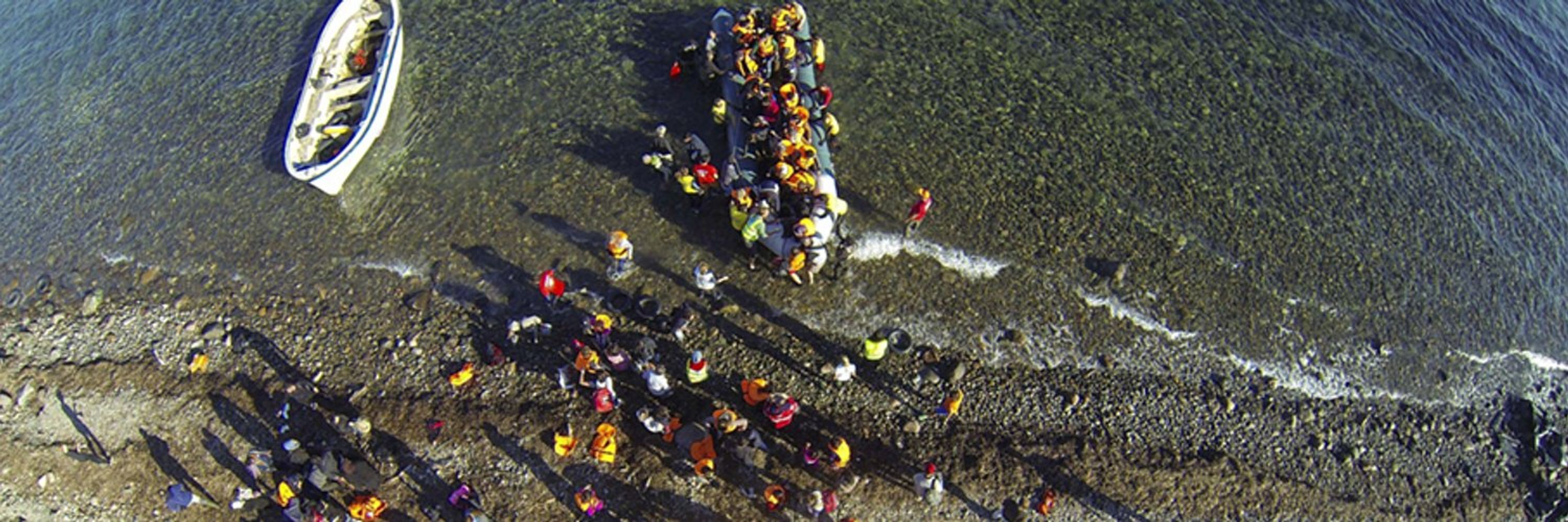Refugee Law Initiative